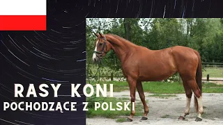 Rasy Koni Pochodzące z Polski