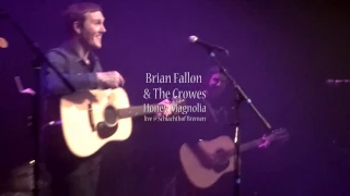 Brian Fallon Honey Magnolia live Bremen Schlachthof unplugged