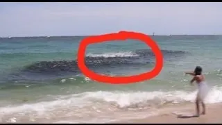 Mysterious Sea Creatures CAUGHT ON CAMERA