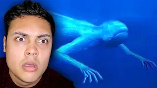 REACTING TO THE OCEAN IS DEEPER THAN YOU THINK