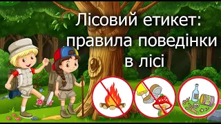 Правила поведінки в лісі. Лісовий етикет