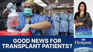 In a First, Pig Kidney Transplanted Into a Living Human | Vantage with Palki Sharma