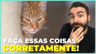 15 Coisas Que Você Raramente Faz Para o Seu Gato