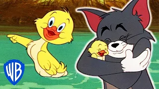 Tom & Jerry | Triple Trouble | Classic Cartoon Compilation | WB Kids