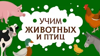 Животные для детей. Учим животных и птиц. Карточки домана. Учимся говорить