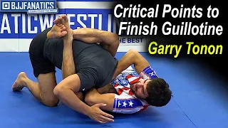 Guillotine - Critical Points to Finish by Garry Tonon