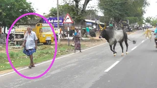 தாத்தாவுக்கு என்ன ஆச்சு 😲||கோவக்கார பய 👿||நேற்று இலுப்பூர் ஜல்லிக்கட்டு