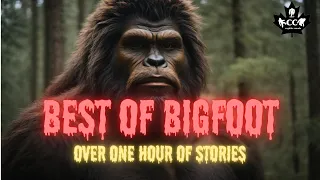 EPISODE 596 BEST OF BIGFOOT / OVER ONE HOUR OF STORIES