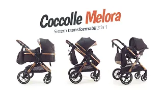Carucior transformabil 3in1 Coccolle Melora - smart-baby.ro