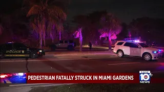 Pedestrian killed in Miami Gardens crash
