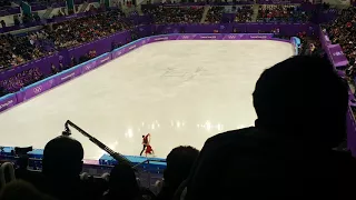 2018 Olympic Winter Games Maia Shibutani&Alex Shibutani FD