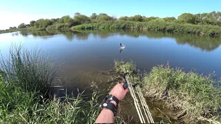 Охота с Рогаткой SLINGSHOT FISHING