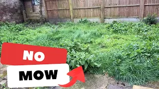 This Is What Happens After A Year Of No Mow... Overgrown Lawn AGAIN!