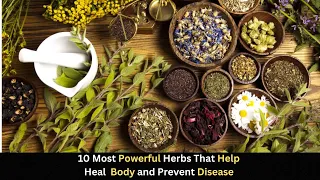 Heal Naturally || Dive into the Power of Top 10 Body-Boosting Herbs