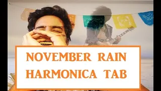 #1 EPIC SOLO🔥| NOVEMBER RAIN [With TAB]- Mariano Garcia del Rio