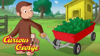 George's Cucumber Giveaway 🐵 Curious George 🐵 Kids Cartoon 🐵 Kids Movies