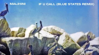 Malihini - If U Call (Blue States Remix)