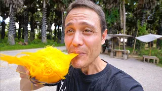 How to Eat Palmyra Palm Fruit - Amazing PALM SUGAR Superfood!