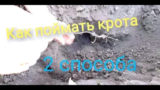 👍Как поймать крота/ пика, крючки / how to catch a mole / pike, hooks