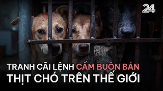 Tranh cãi lệnh cấm buôn bán thịt chó trên thế giới | VTV24