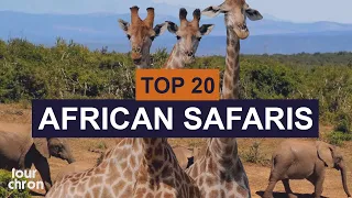 Top 20 African Safaris You Must Experience