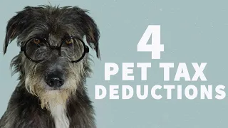 How Being a Pet Owner Could Score You a Bigger Tax Refund