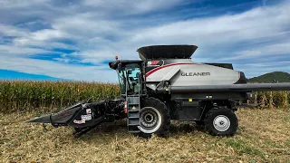 Gleaner Combine vs High Moisture Corn | 30%