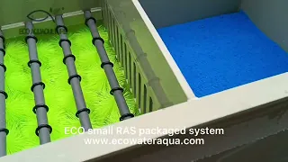 smart RAS system