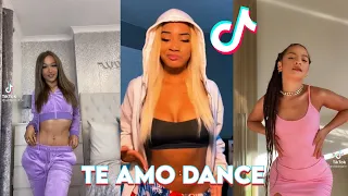 Te Amo - Rihanna Tik Tok Dance challenge Compilation