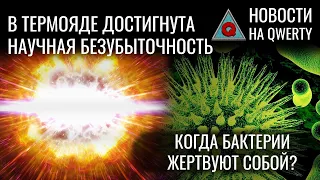 Новая эра термоядерного синтеза? Белковый бронежилет. Лекарство от храпа. Новости QWERTY №241