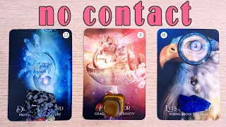 NO CONTACT!  THEIR FEELINGS, ACTIONS, FUTURE!  PICK A CARD TIMELESS TAROT READING