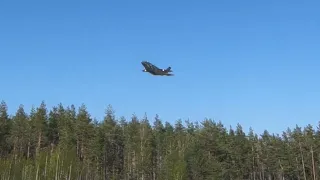 F-35B RC VTOL turbine | Fast descent test and some fun