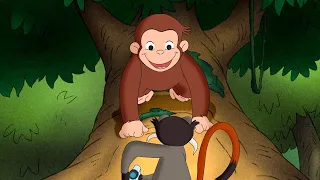 Nyfiken George's Amazon Adventure / Monkey Senses | Nicke Nyfiken | WildBrain Svenska