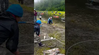 Dip netting in Fish Creek, Alaska