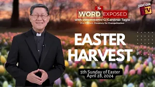 EASTER HARVEST |  The Word Exposed with Cardinal Tagle (April 28, 2024) with Sign Language