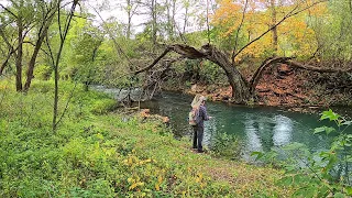 Fly Fishing a Small Stream in the Driftless (Day 2)