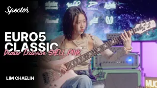 임채린 - In Touch (DAUL) Cover | Spector EURO5 Dealer Exclusive Shell Pink | MUCL