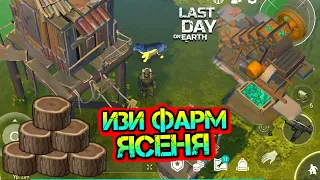 Изи фарм ЯСЕНЯ на самой опасной локации в игре БОЛОТО Last Day on earth: Survival