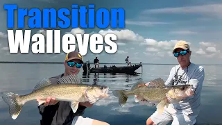 Targeting Transional Walleyes