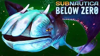 ГРОМАДИНА И ЧИТЕР ► Subnautica: Below Zero #11