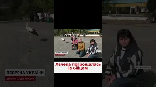 🥺💔 Лелека прилетів на похорон до полеглого бійця