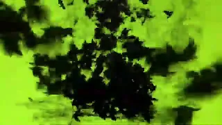 ITACHI CROW GREEN SCREEN