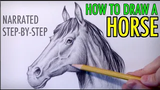 How to Draw a Horse: Narrated Step-by-Step Tutorial