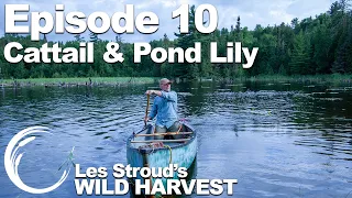 Survivorman | Les Stroud's Wild Harvest | Season 1 | Episode 10 | Cattail & Pond Lily