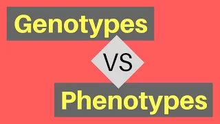 Genotype vs Phenotype | Understanding Alleles