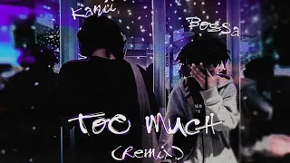 Too Much w/ Kanii (Remix) (Official Visualizer)