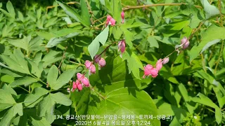 174. 광교산(문암골~형제봉~토끼제~상광교)(20.06.04)
