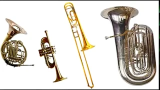 Instrumentos da orquestra