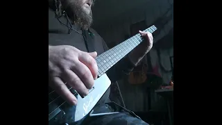 People and Guns ( people dont kill people ) from Movie Subway. Steinberger spirit bass cover