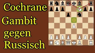 Cochrane Gambit ! Überrasche Deinen Gegner mit einem Springeropfer